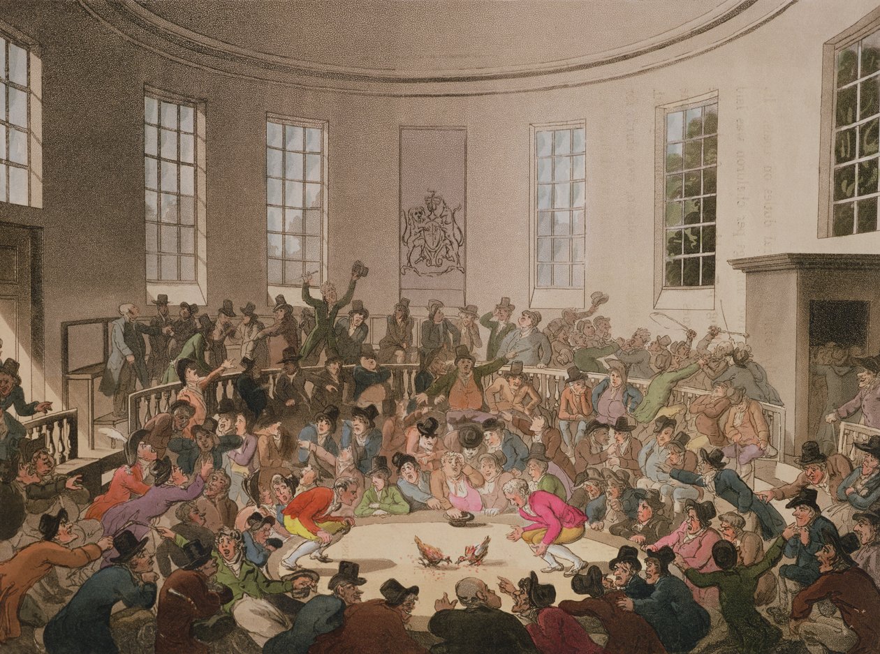 Royal Cock Pit, 1808, grawerowany przez Johna Blucka (fl.1791-1819) autorstwa Pugin and Rowlandson