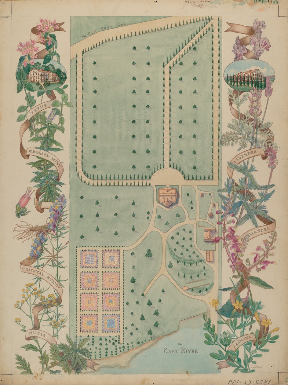 Szaleństwo Smitha - Góra Vernon, c. 1936. autorstwa Tabea Hosier