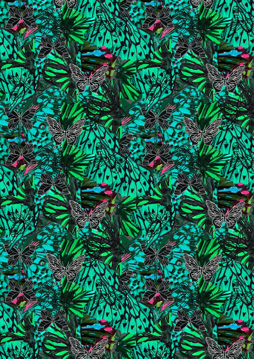 Papillon autorstwa Tara Whitehead