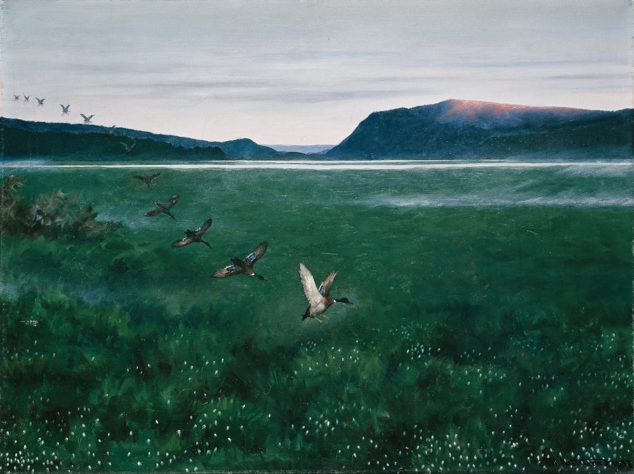 Dwanaście dzikich kaczek autorstwa Theodor Kittelsen