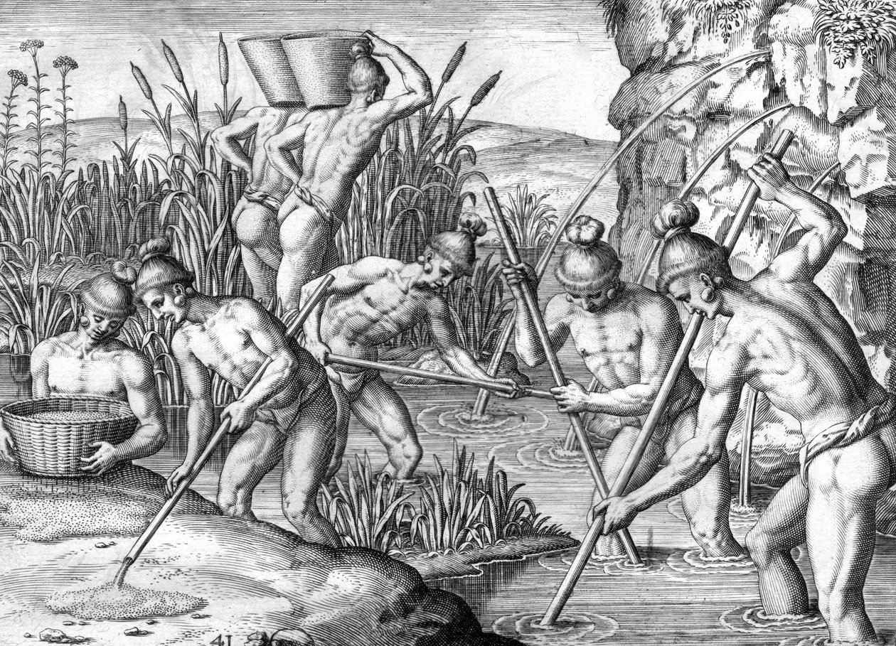 Indianin Timucua zbierający złoto autorstwa Theodor de Bry