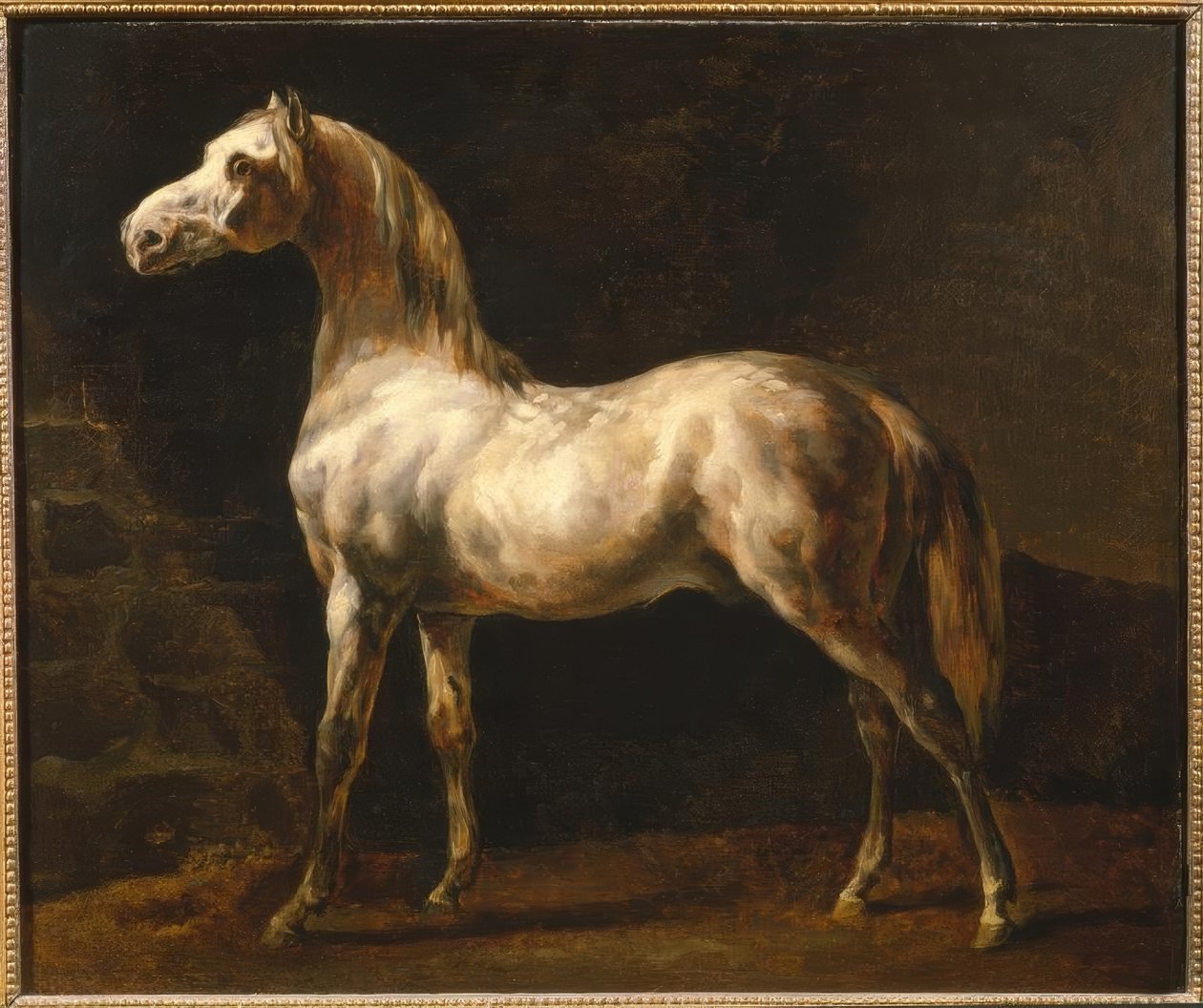 Biały ogier autorstwa Theodore Gericault
