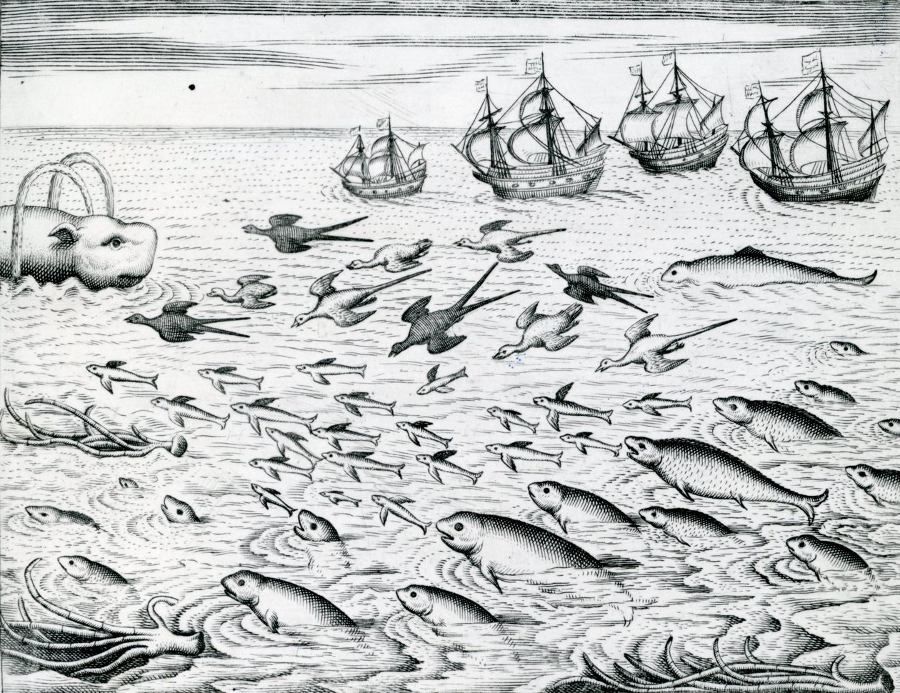 Pejzaż morski, ilustracja z „India Orientalis”, 1598 autorstwa Theodore de Bry