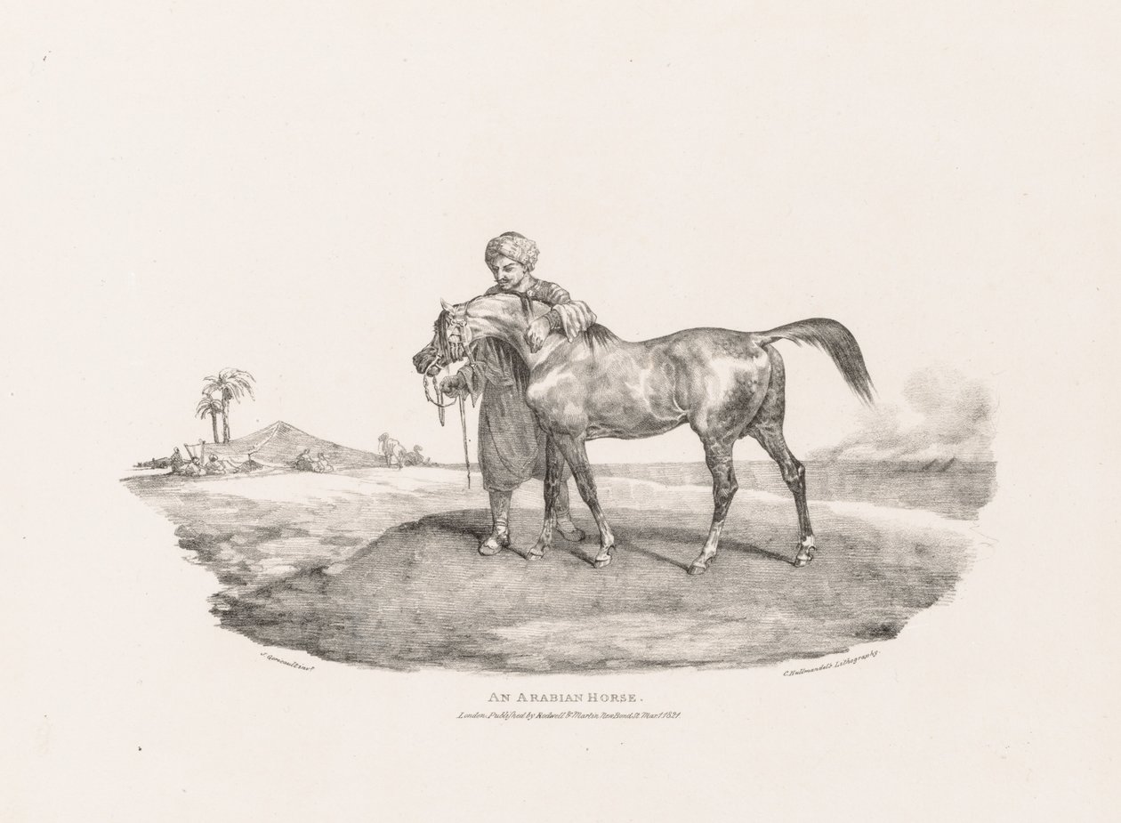 Koń arabski autorstwa Theodore Gericault