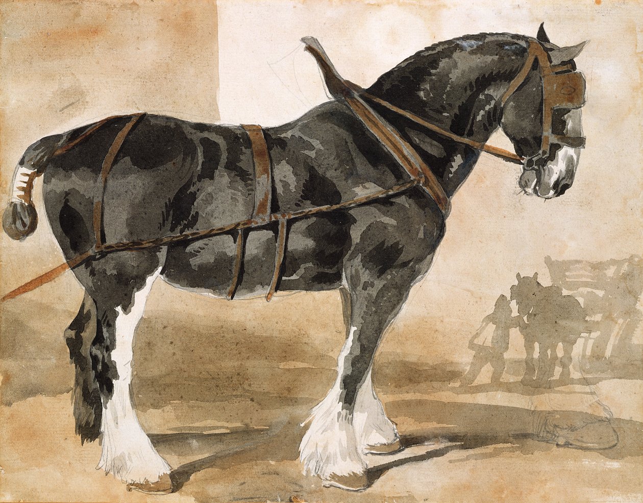 Zaprzęgnięty czarny koń autorstwa Theodore Gericault