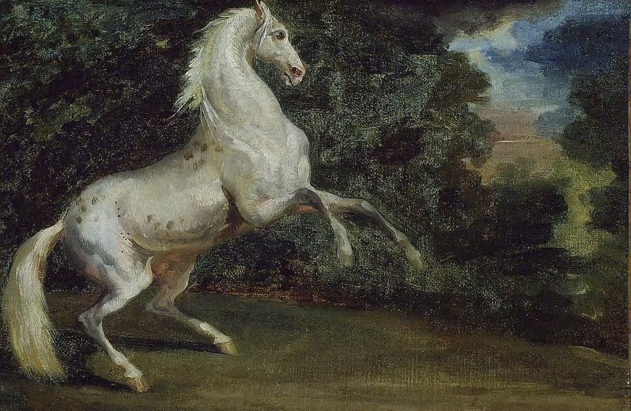 Pyszałkowaty koń autorstwa Theodore Gericault