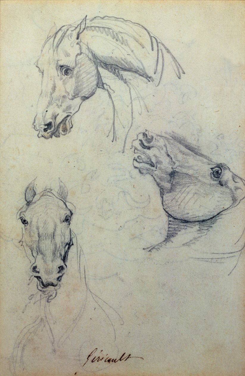 Trzy głowy koni (ołówek) autorstwa Theodore Gericault