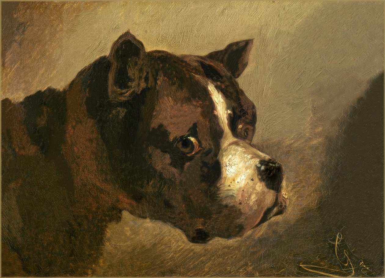 Głowa buldoga autorstwa Theodore Gericault