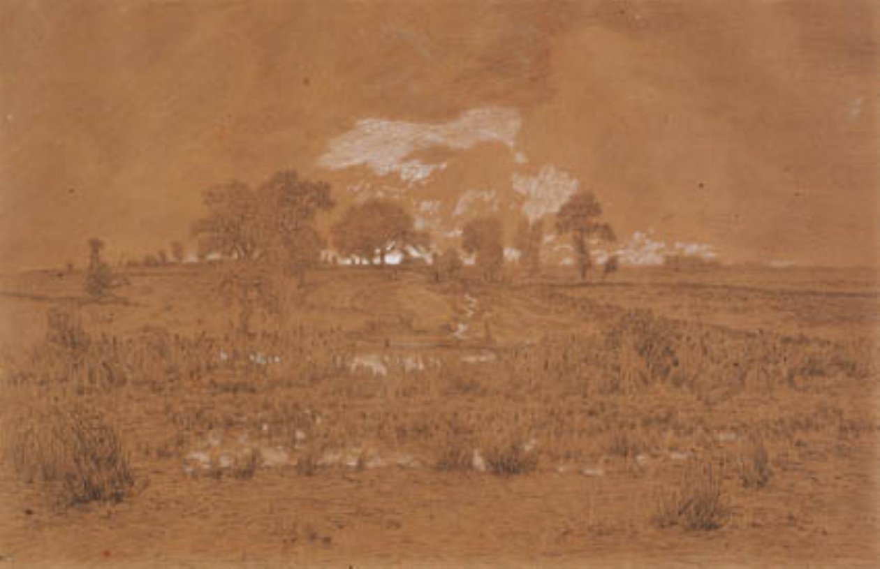 Wieczorny krajobraz z torfowiskiem autorstwa Theodore Rousseau