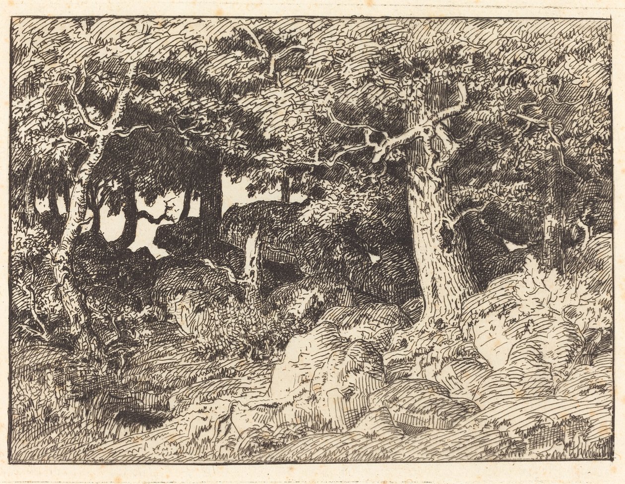Skalne dęby autorstwa Theodore Rousseau
