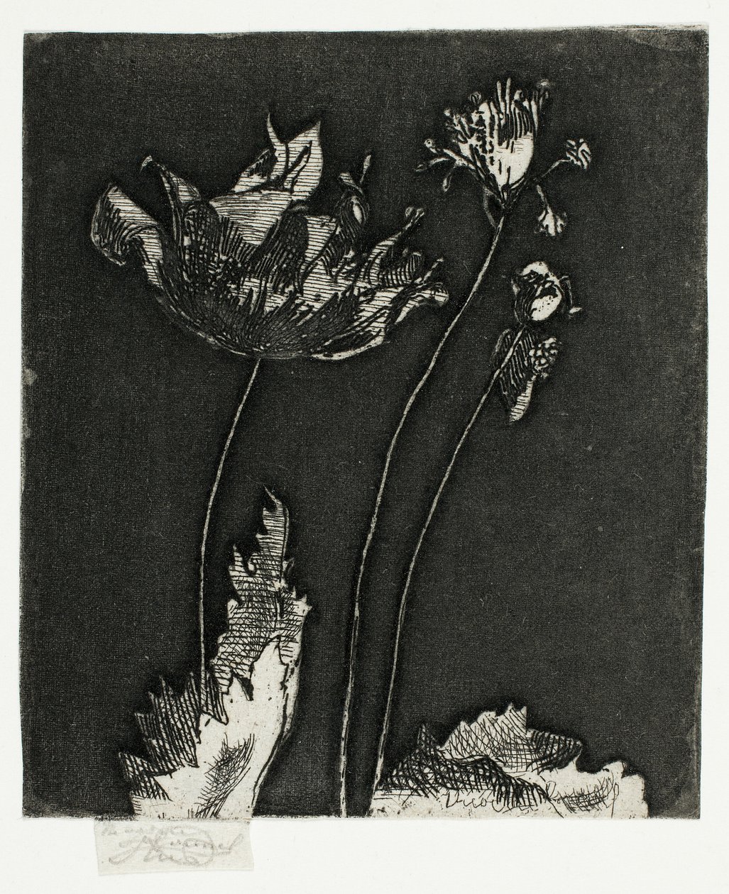 Ostatnie maki autorstwa Theodore Roussel