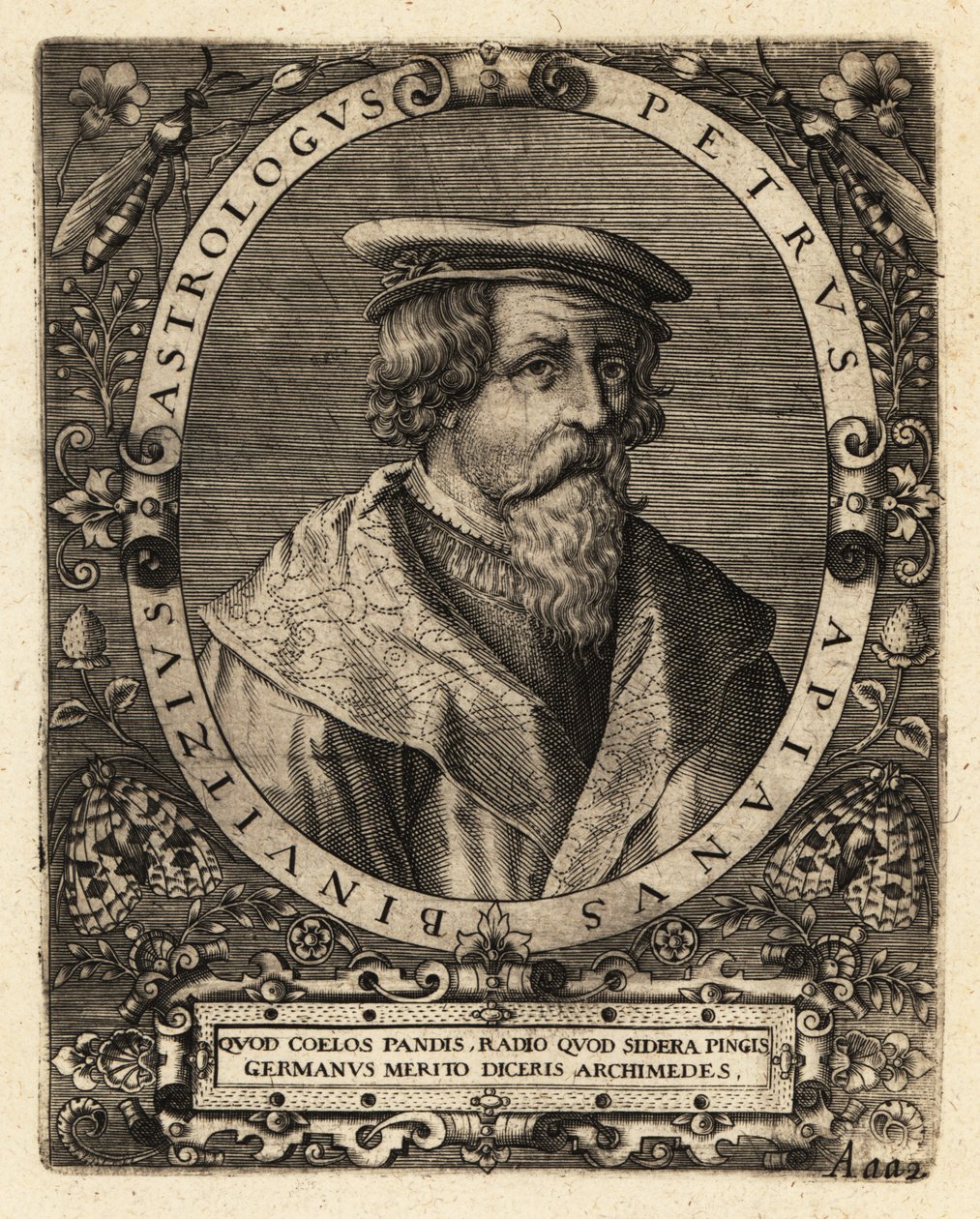Peter Apian, niemiecki astronom. autorstwa Theodore de Bry