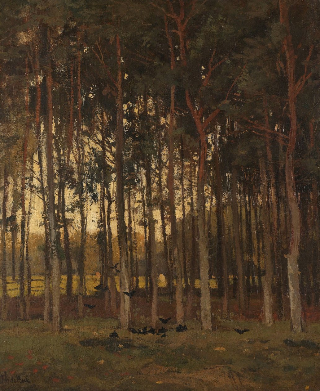 Zobacz w lesie autorstwa Theophile de Bock
