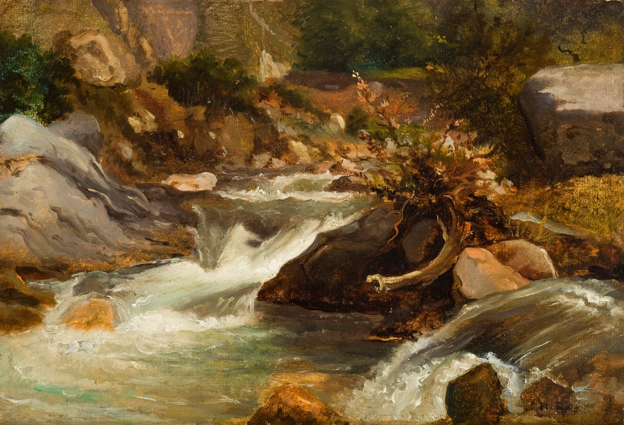 Studium krajobrazowe (La Source) c.1830 (olej na papierze zamontowany na panelu) autorstwa Pierre Etienne Theodore Rousseau