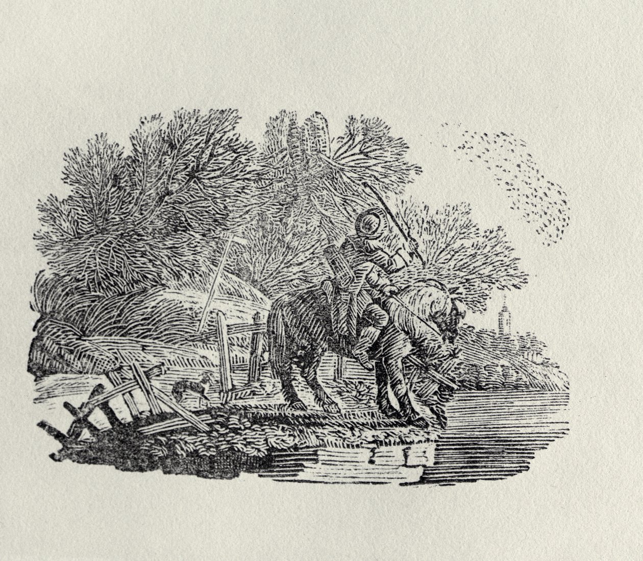 Jeździec rozproszony przez stado ptaków (drewno) autorstwa Thomas Bewick