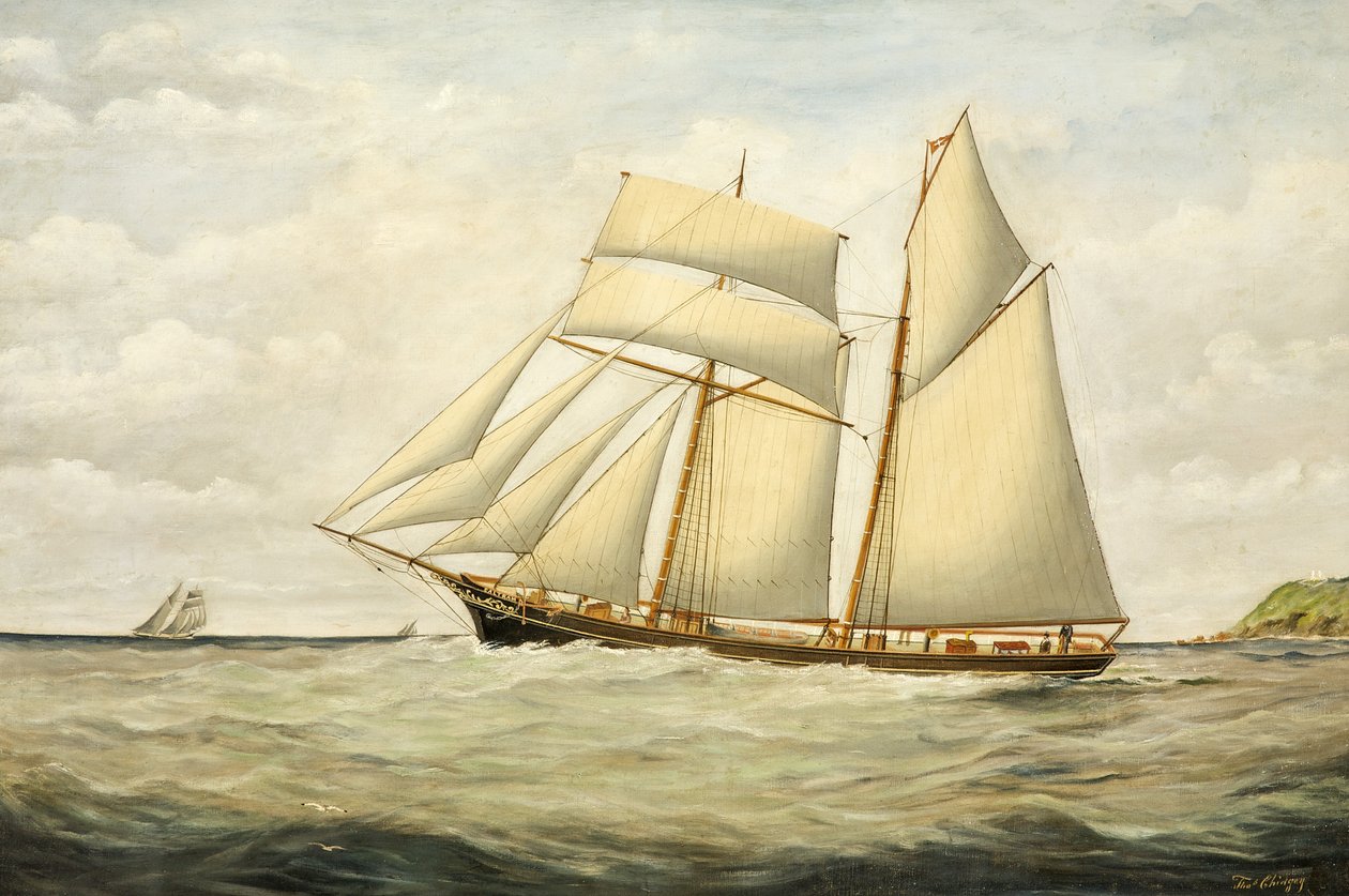 Szkuner Saltram, 1890-1900 autorstwa Thomas Chidgey