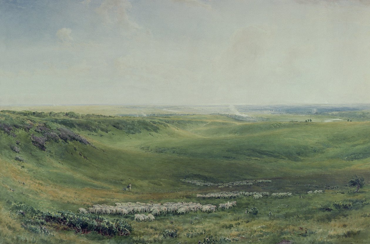 Szerokie pastwiska, Sussex (akwarela) autorstwa Thomas Collier