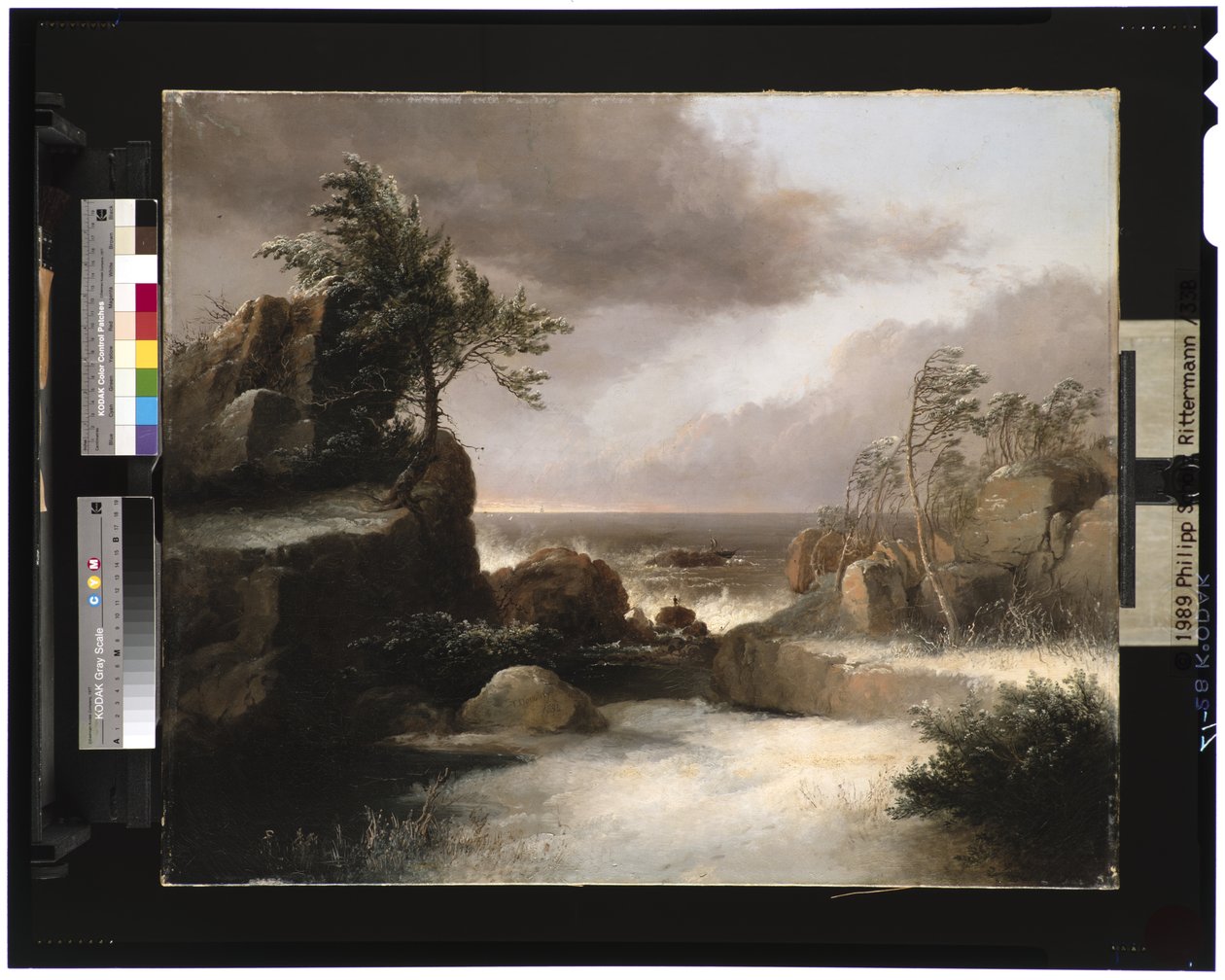 Wrak statku, 1834 autorstwa Thomas Doughty