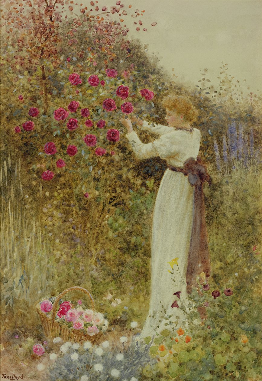 Róże, 1867 (wc z kolorem nadwozia na papierze) autorstwa Thomas James Lloyd