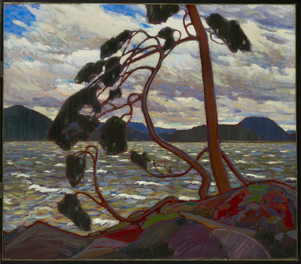 Zachodni wiatr, zima 1916-17 autorstwa Tom Thomson