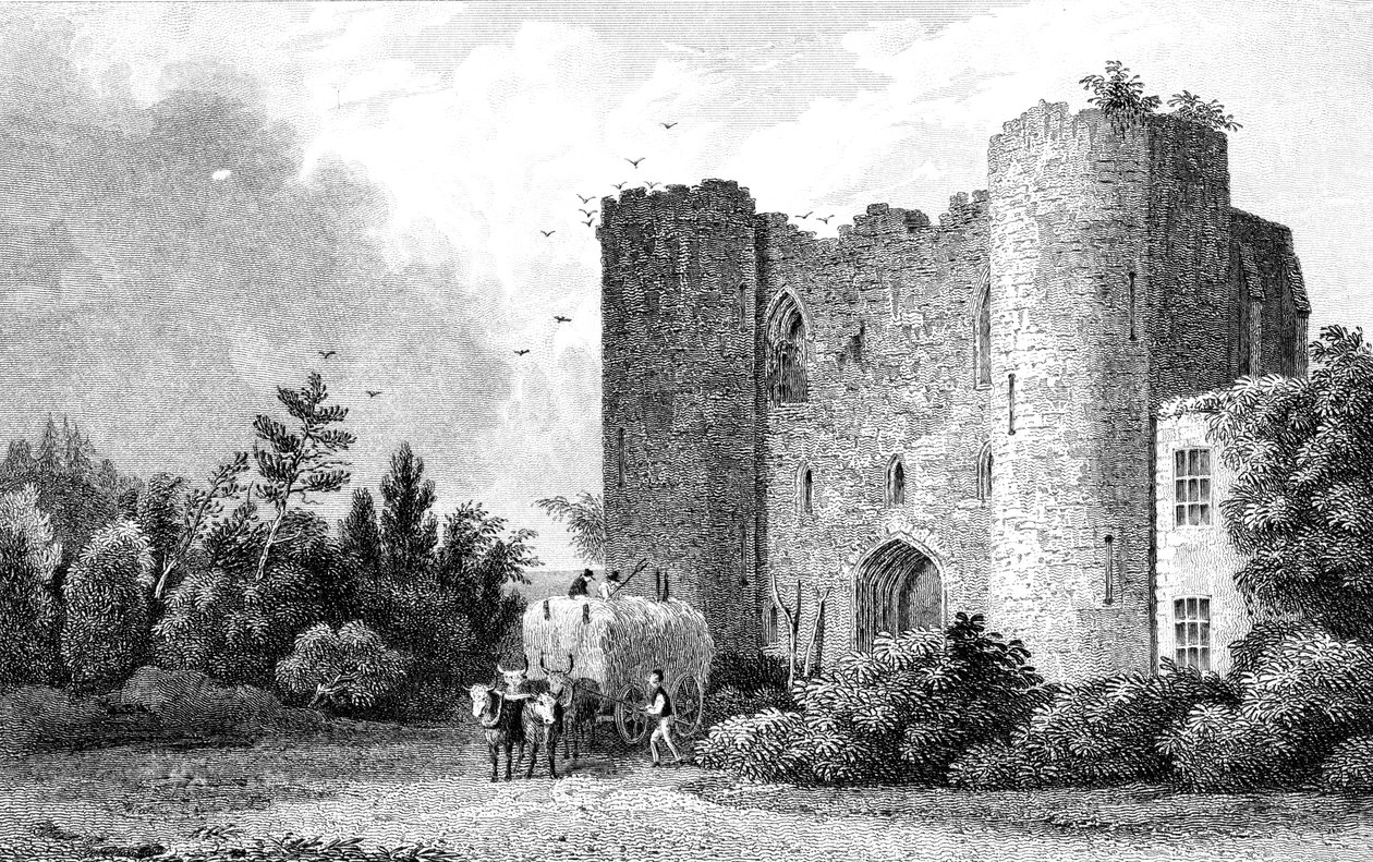 Zamek Tunbridge, Kent, grawerowany przez S. Lacey, 1831 autorstwa Thomas Mann Baynes