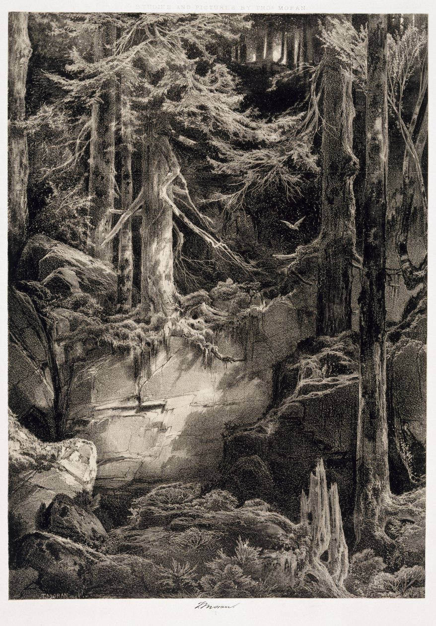 W lesie Wissahickonu, 1868 autorstwa Thomas Moran