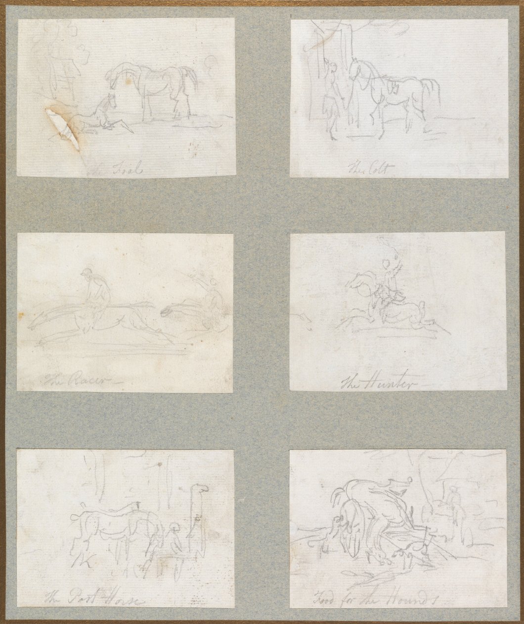 Epoki konia - źrebak, źrebak, biegacz, myśliwy, koń, karma dla psów gończych autorstwa Thomas Rowlandson