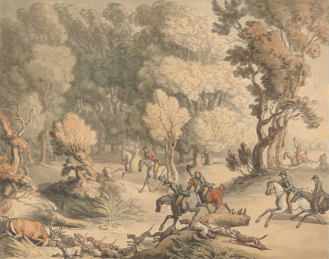Jeleń w Zatoce autorstwa Thomas Rowlandson