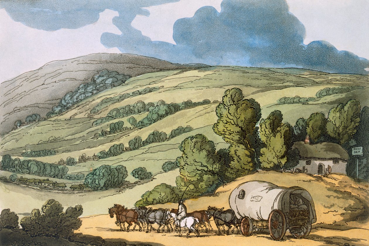 Taunton Vale, Somersetshire, z „Sketches from Nature”, opublikowany 1822 (kolorowa akwaforta) autorstwa Thomas Rowlandson