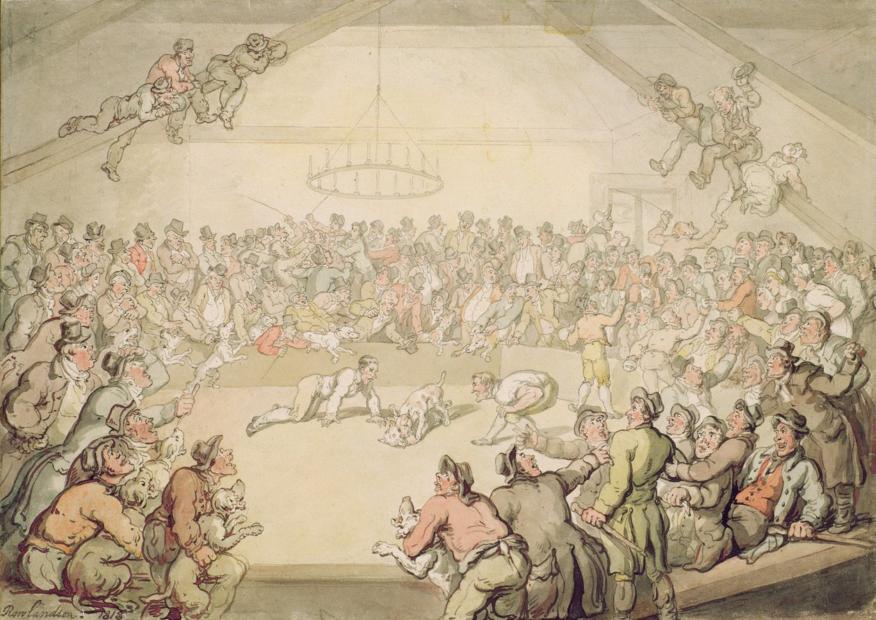 Walka psów autorstwa Thomas Rowlandson