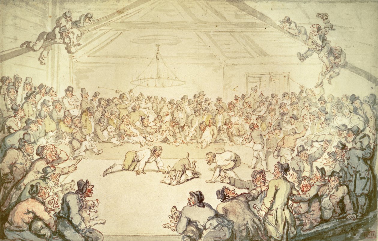 Walka psów autorstwa Thomas Rowlandson