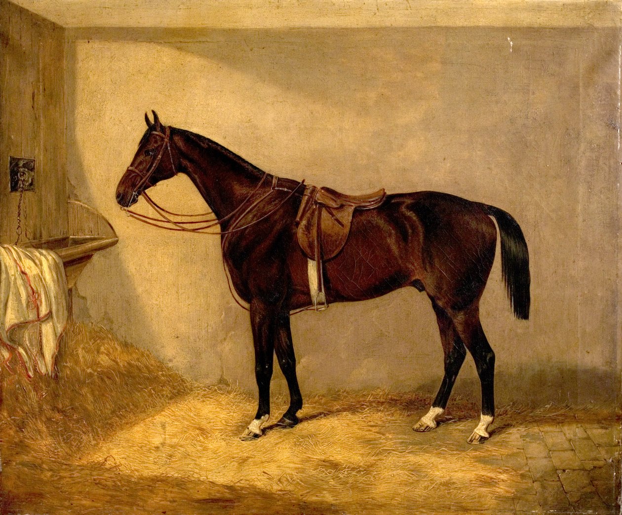 Portret konia, który należał do majora Burtona podczas szarży na kominiarkę autorstwa Thomas W. Bretland
