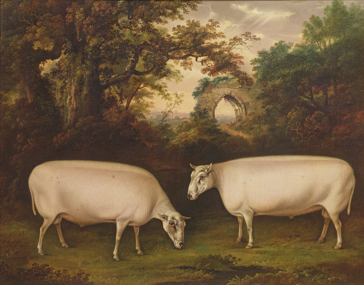 Dwie nagrody Border Leicester Rams w krajobrazie, 1800 autorstwa Thomas Weaver