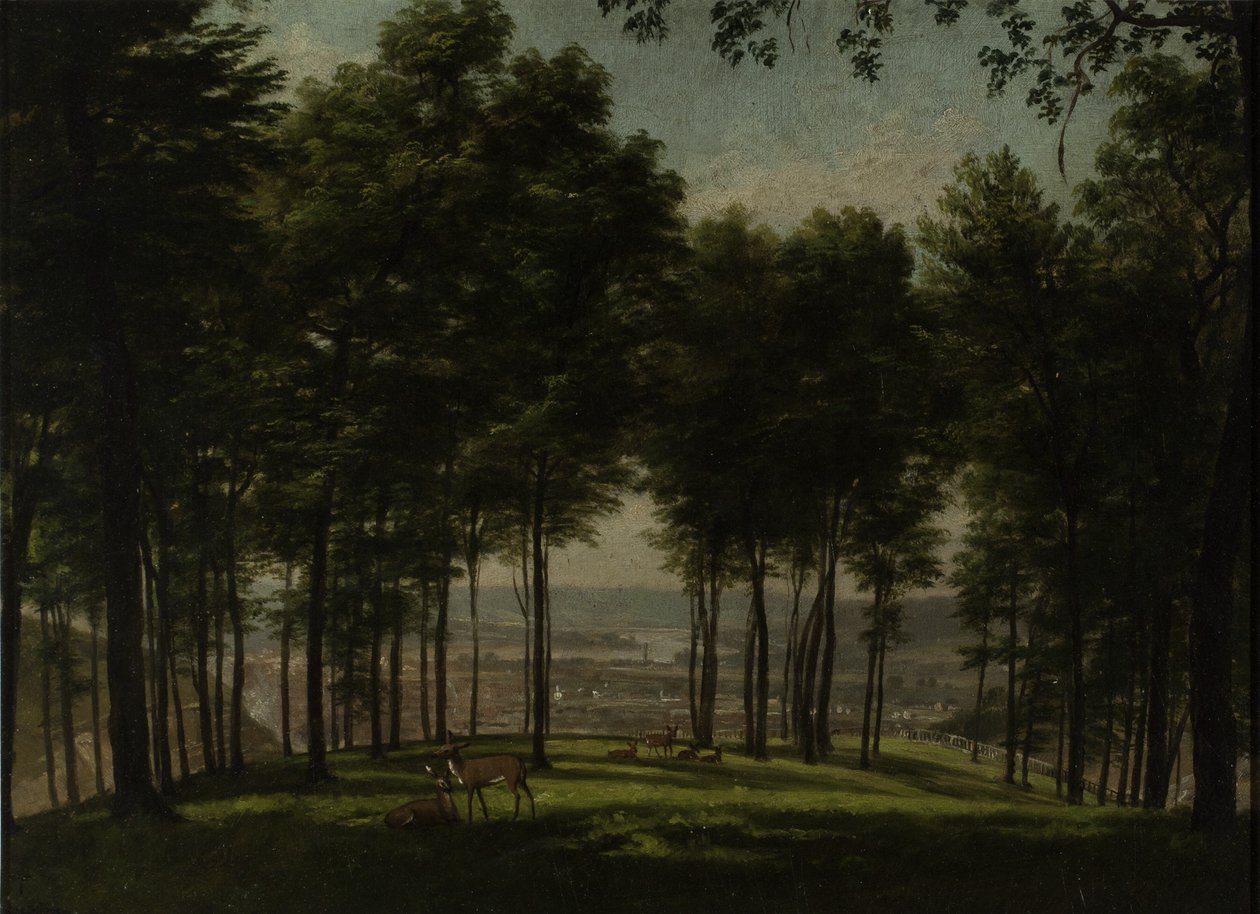 Mount Storm Park, Cincinnati, 1840 (olej na tablicy akademii) autorstwa Thomas Worthington Whittredge