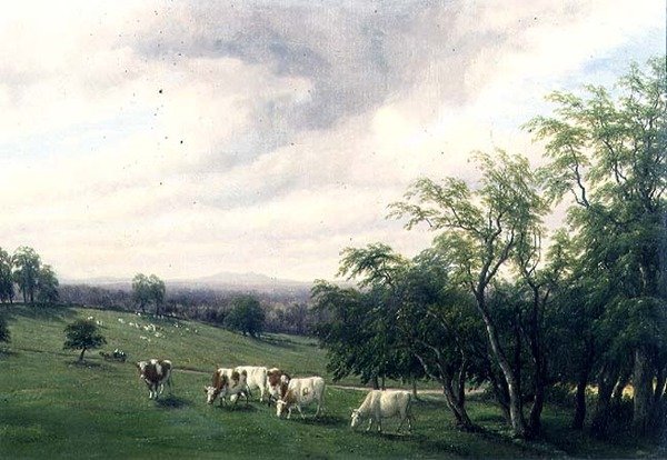 Wypas bydła w Parkland autorstwa Thomas Baker