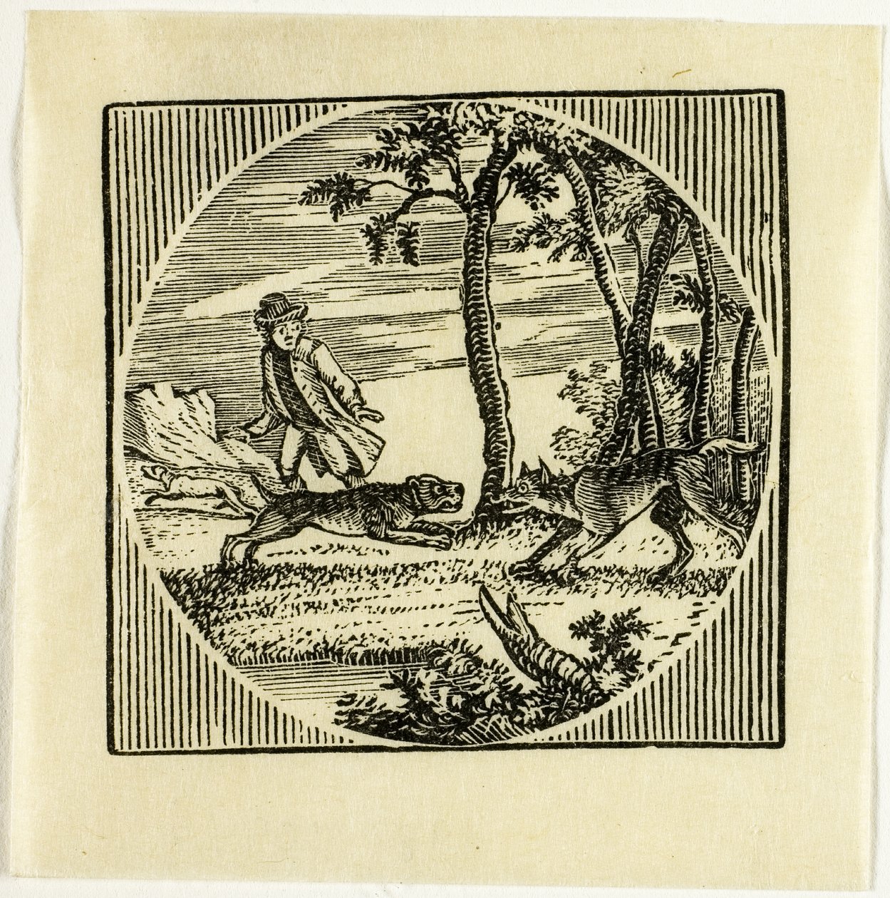 Książka ilustracja autorstwa Thomas Bewick