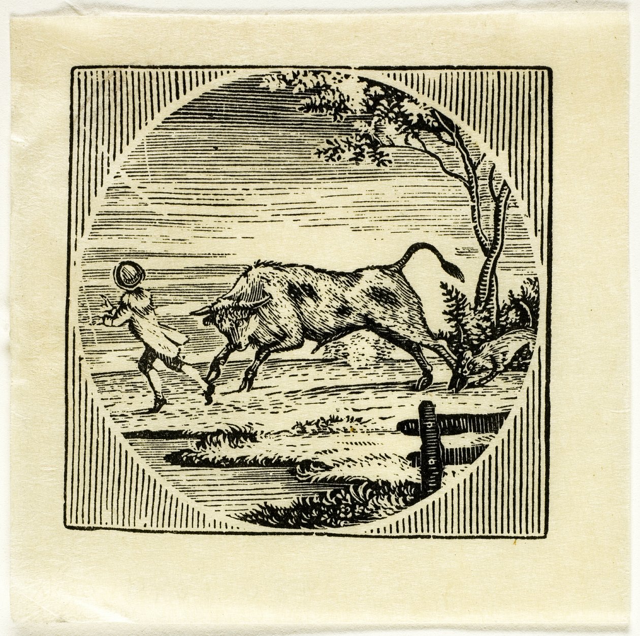 Książka ilustracja autorstwa Thomas Bewick