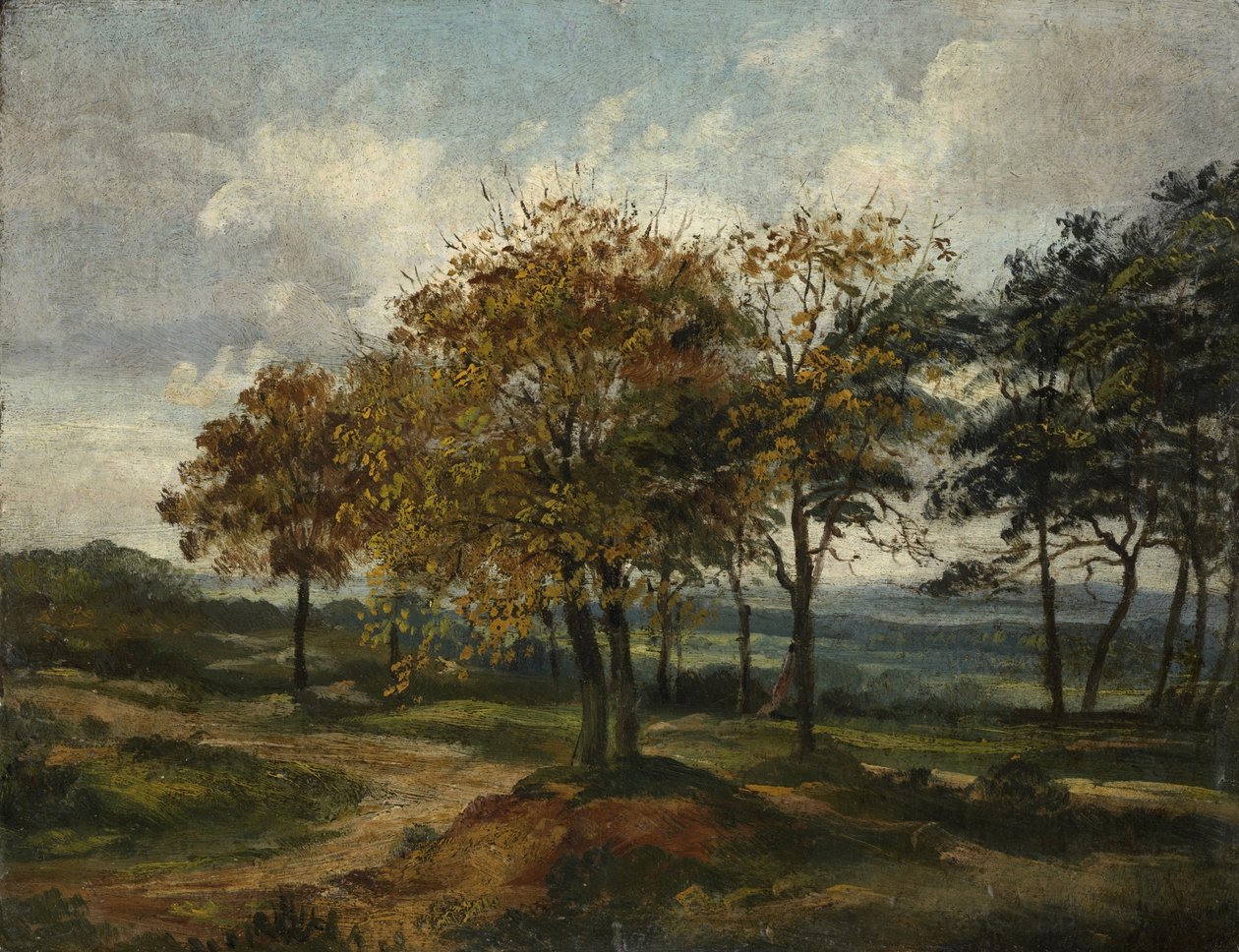 Zalesiony krajobraz autorstwa Thomas Churchyard