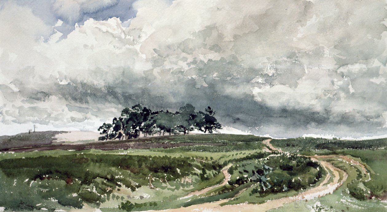 Scena wrzosowa autorstwa Thomas Collier