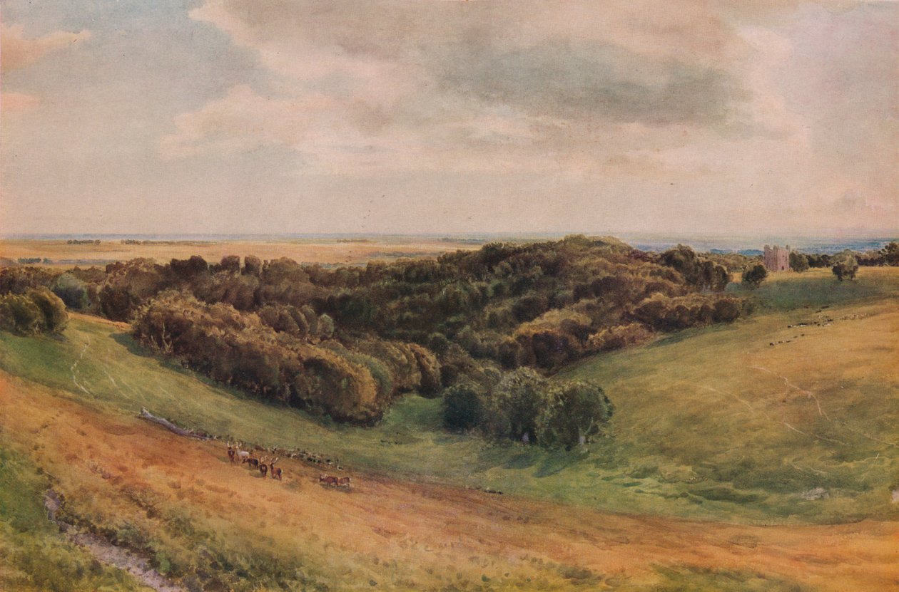Park Arundel, 1874 autorstwa Thomas Collier