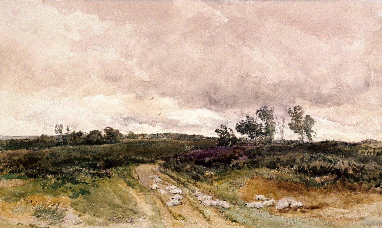 „Scena wrzosowa”, 1878 autorstwa Thomas Collier