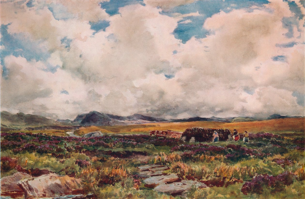 Układanie torfu, Festiniog, Północna Walia, 1881 autorstwa Thomas Collier
