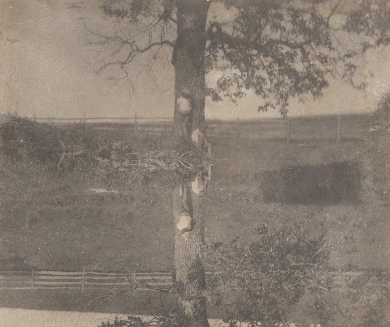[Crowell Children w Avondale, Pensylwania]. autorstwa Thomas Eakins