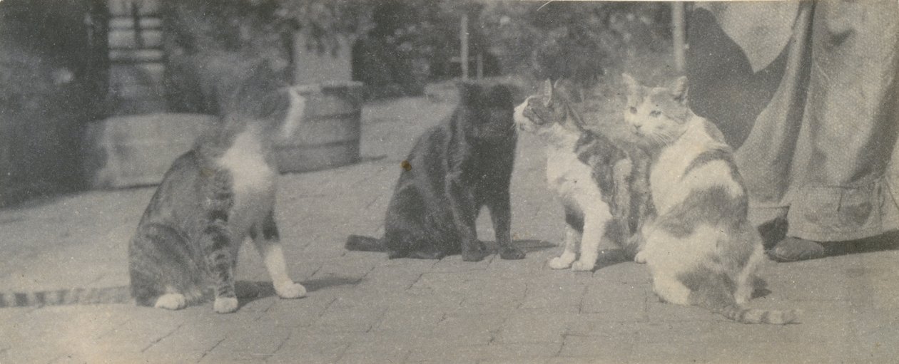 Cztery koty, ca. 1895. autorstwa Thomas Eakins