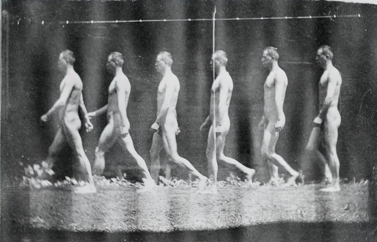 Fotografie Marey Wheel Jesse Godley, 1884. autorstwa Thomas Eakins