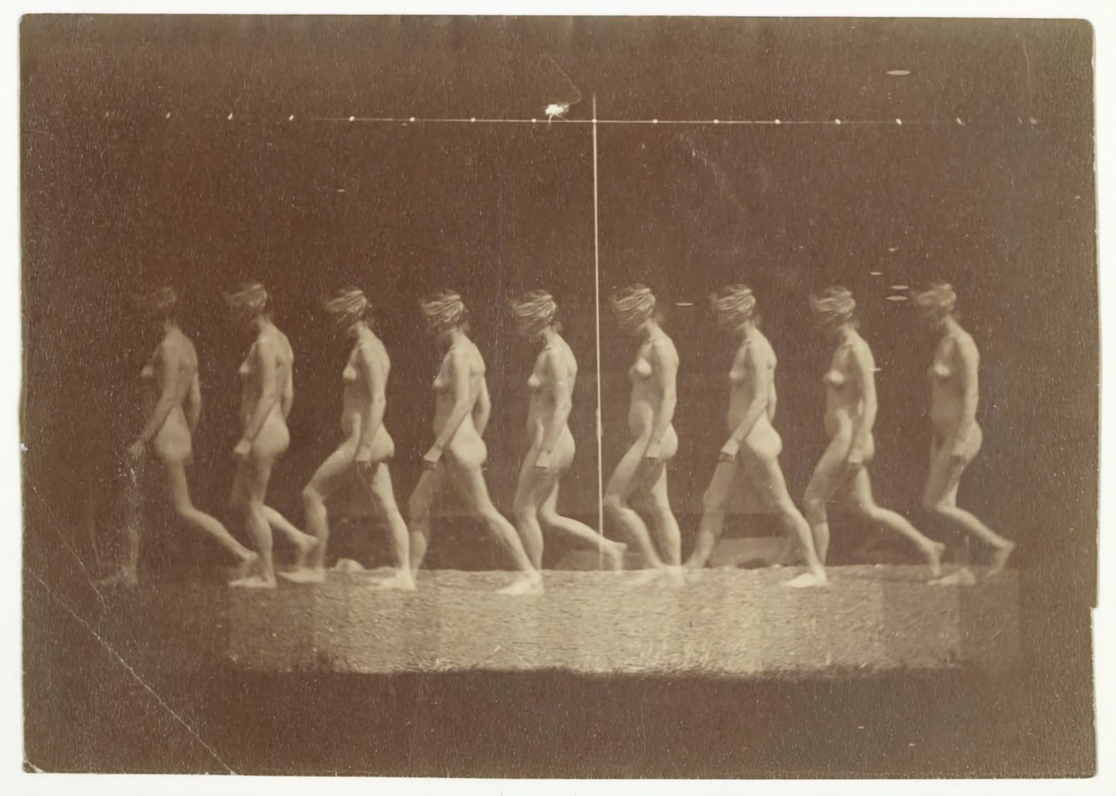 Fotografie Marey Wheel niezidentyfikowanego modelu, 1884. autorstwa Thomas Eakins