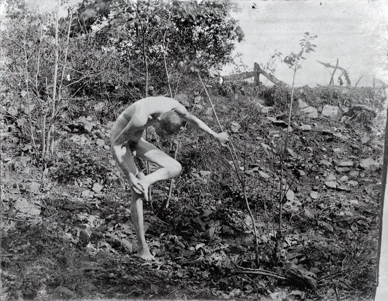 Ściągacz cierni, c. 1883. autorstwa Thomas Eakins