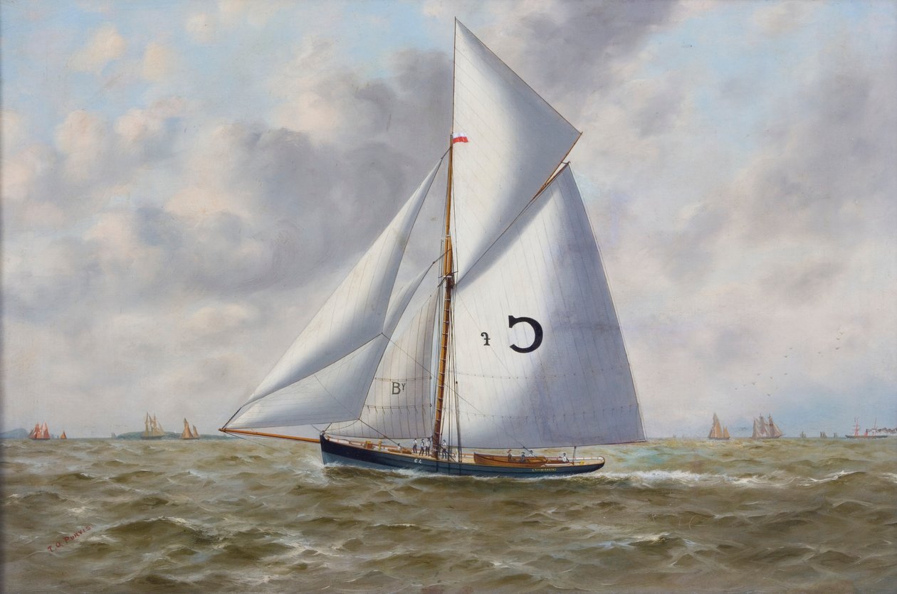 „Marguerite”, 1893 autorstwa Thomas G Purvis