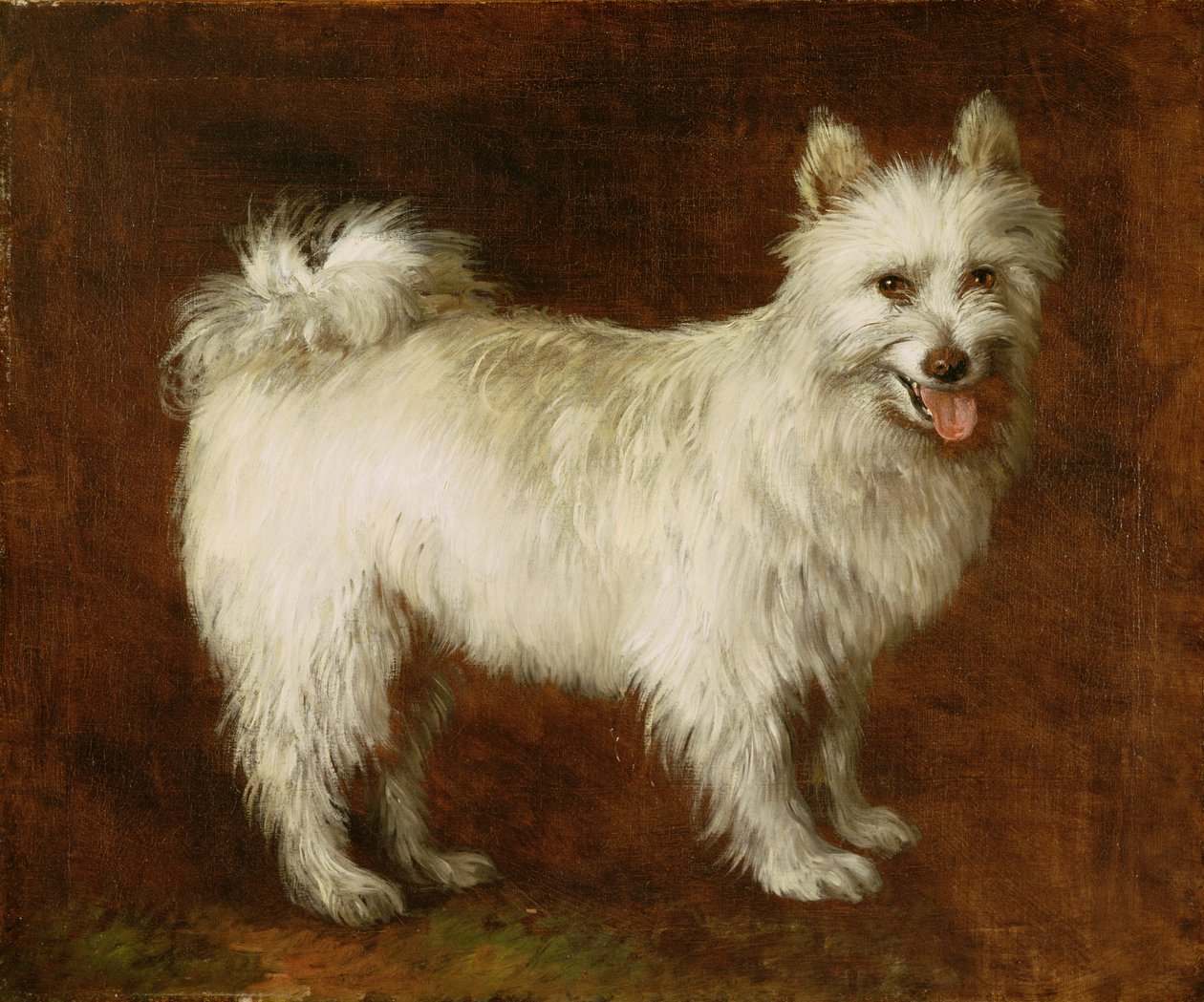 Pies szpic, ok. 1760-70 (olej na płótnie) autorstwa Thomas Gainsborough