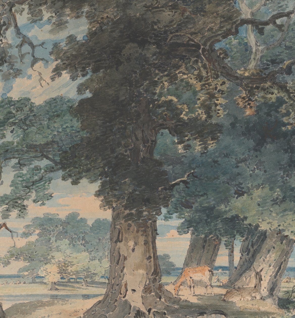 Jeleń w Lesie Windsor, 1793-94. autorstwa Thomas Girtin